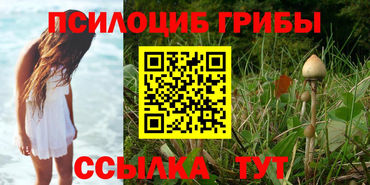 Псилоцибиновые грибы Magic Shrooms Павловский Посад