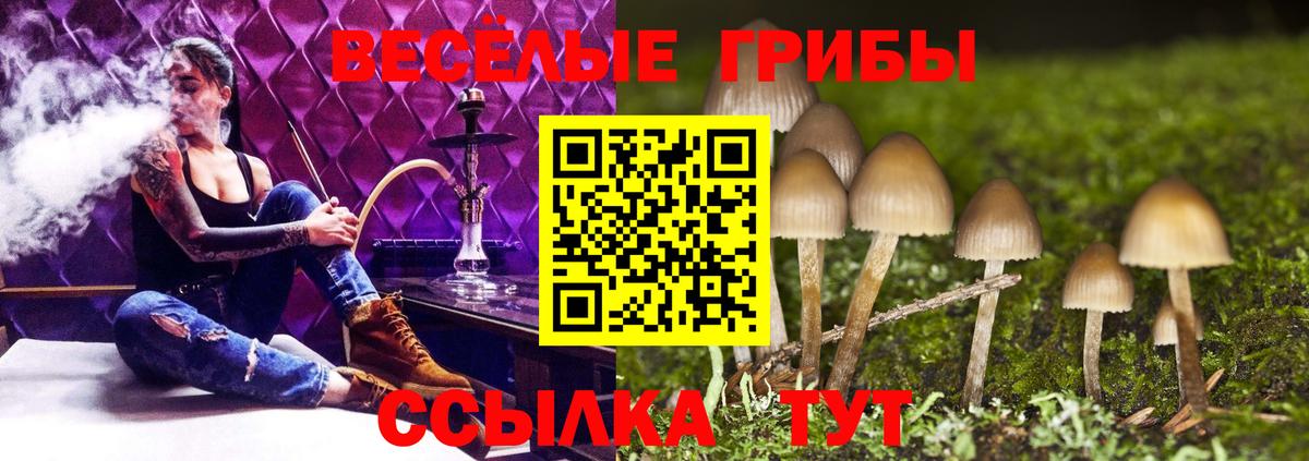 Псилоцибиновые грибы MAGIC MUSHROOMS  Вход с VPN  продажа наркотиков  Павловский Посад 