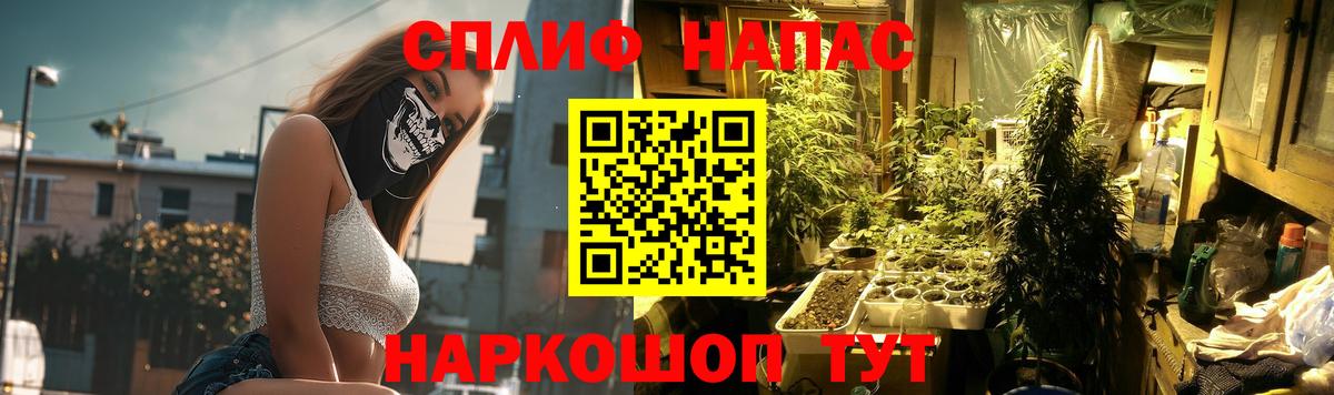 Марихуана план Павловский Посад